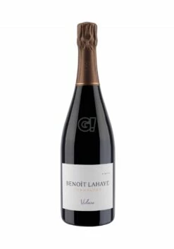 BenoîtLahaye ChampagneBrutNature ViolaineSansSoufre2016