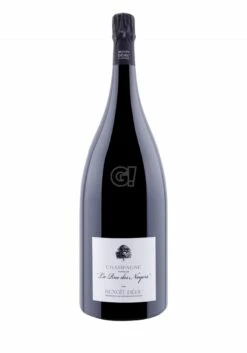BenoîtDéhu ChampagneBrutNature CuvéedeLaRuedesNoyersV14Magnum