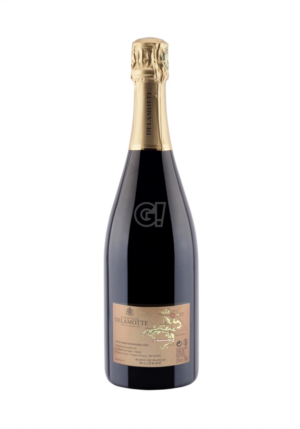 Delamotte ChampagneBrut BlancdeBlancsCollection2004 2 Delamotte ChampagneBrut BlancdeBlancsCollection2004 - immagine 2