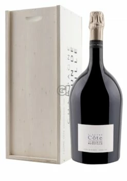 LeBrundeNeuville ChampagneBrut L'AutreCôteMagnum