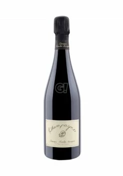 AurélienLurquin ChampagneBrutNature PinotNoir"LesForcières"2018